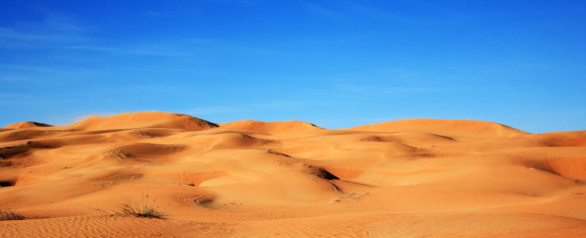 Dune Bashing