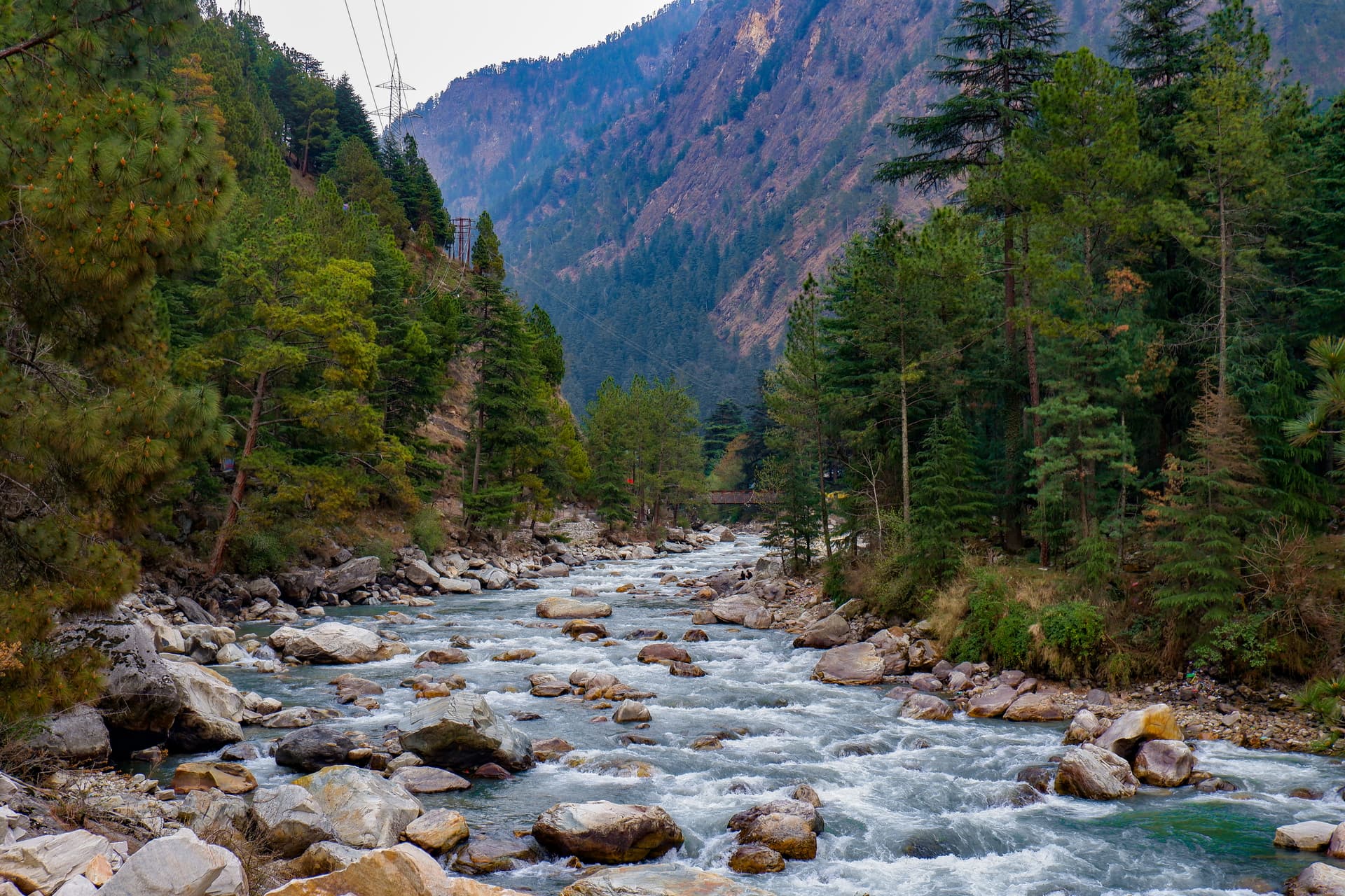 Himachal Horizons