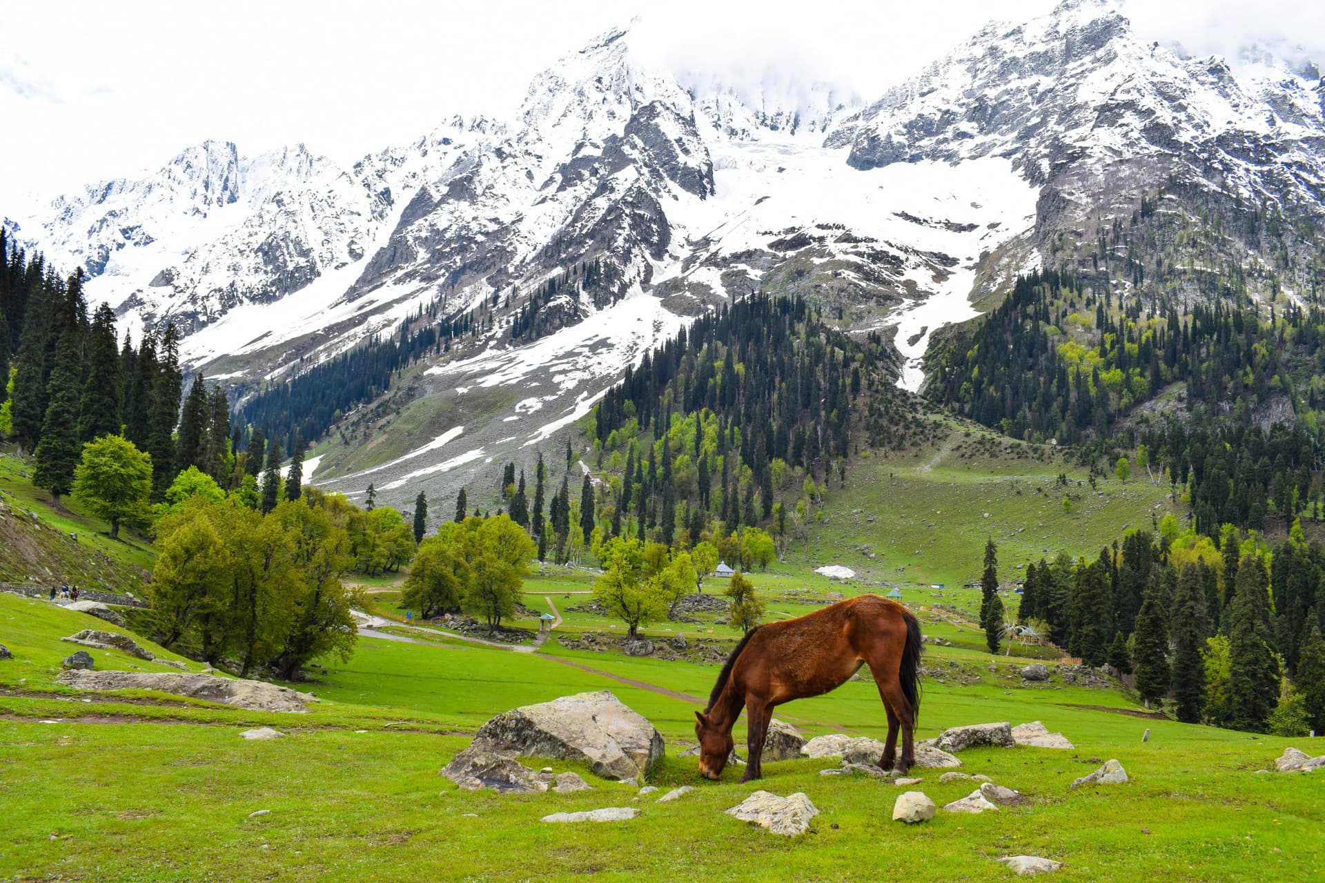 Heavenly Kashmir