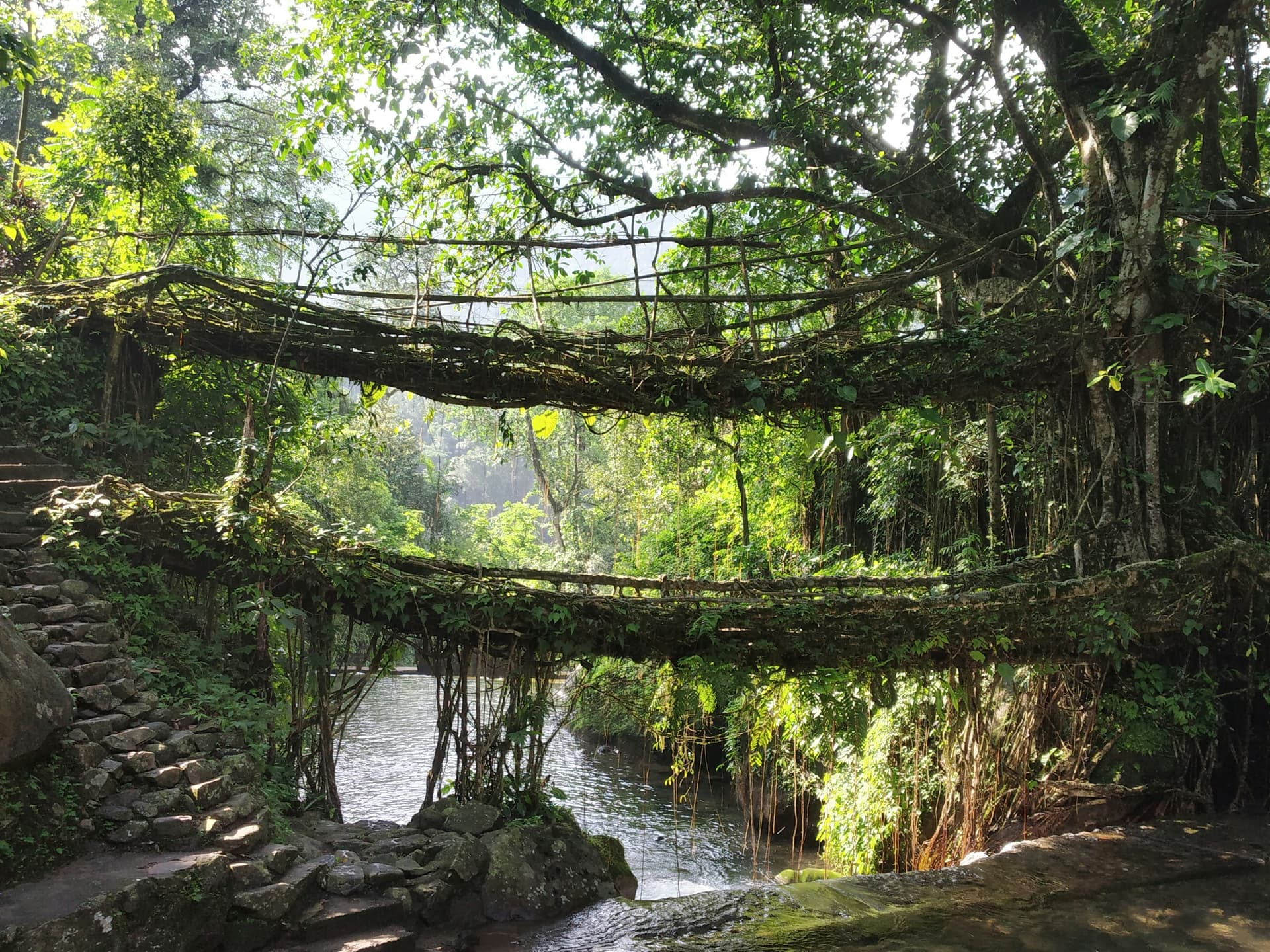 Magical Meghalaya