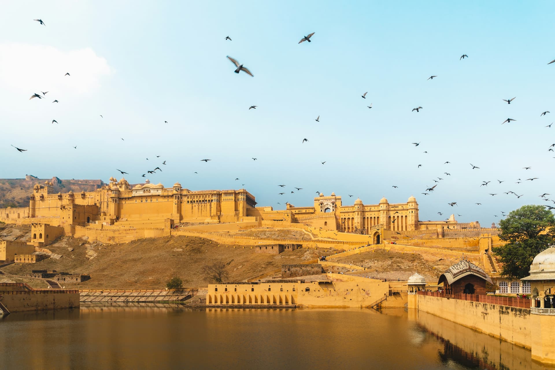 Royal Rajasthan